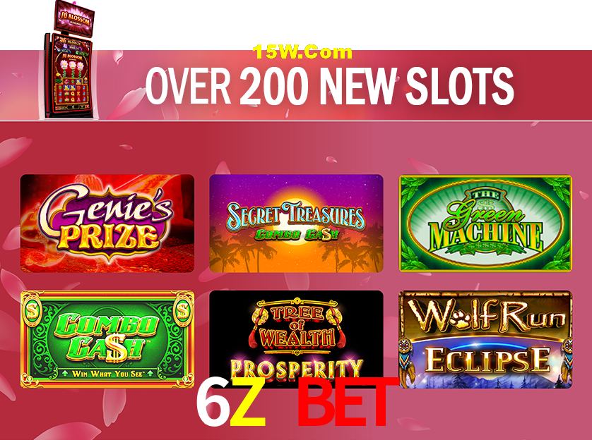 Bonus Features 6Z Bet